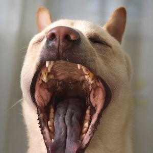 从菜街到厨房-13真Big胆！云南食物吐槽大会？