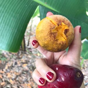 从菜街到厨房-33 在冬日福地西双版纳，把风土吃进嘴里