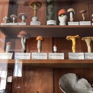 好久不见！菜街半年总结