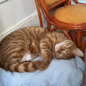 vol.104_在上海租房，没租到的都是你走运