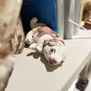 vol.96_亲爱的小狗｜艺术家廖亮和他的缪斯们