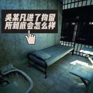 第三十期 吴某凡进了拘留所到底会怎样