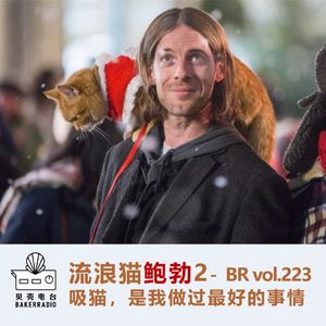流浪猫鲍勃2：吸猫，是我做过最好的事情 - BR vol.223