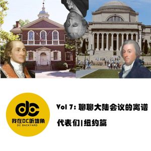 聊聊大陆会议的离谱代表们：纽约篇