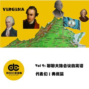 聊聊大陆会议的离谱代表们:弗州篇