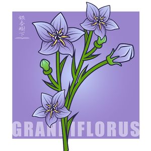 Vol.48 书也有命运，也有生老病死：“藏书状元”谢其章的《书窗风景》