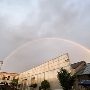 正在游民｜我们在 DNA 这团“羊水”中，经历烈日梅雨后看见彩虹