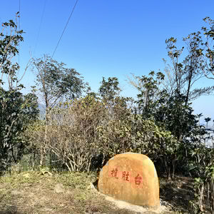 声游深圳｜独走林道，爬上梧桐山