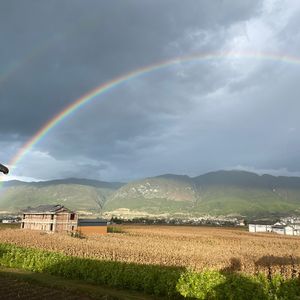 Vol.071 《再见爱人》,你的亲密关系是否也是一个巨大的莫比乌斯环?