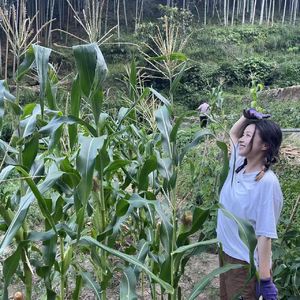 Vol.038 焦虑的反义词是具体（阿绵、汤汤）