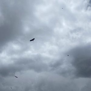 Vol.042 聊聊天葬仪式，无常究竟在生活中意味着什么？（阿绵、清圆）