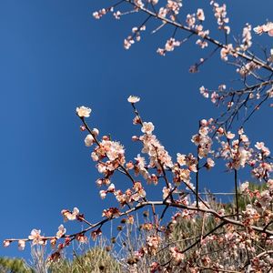 Vol.073 不必追求结果，感受痛苦本身是一段美妙的风景