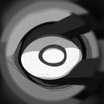 LA Shorts《管状视野》邓益如专访：走出家庭是成长的第一步