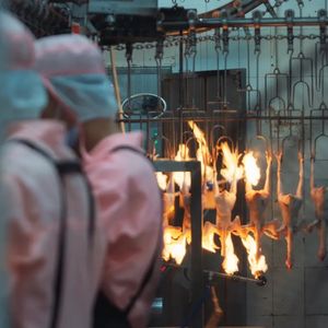 《诞辰日》王贝蒂导演专访：一场青春期情绪的凝练