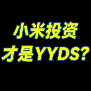憨憨雷军，竟是投资教父？【小丹尼】