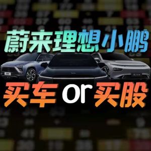 有人买蔚来理想小鹏股票狂赚几十倍？全网最值得收藏的财报分析【小丹尼】