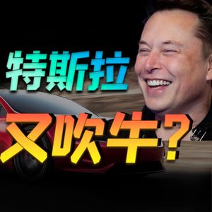 特斯拉工厂世界第一？车漆比BBA还牛比？小丹尼冲一把上海Gigafactory工厂【小丹尼】