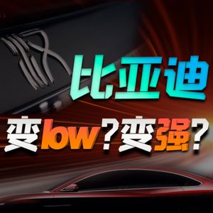 比亚迪的三大改变，能抗住特斯拉蔚来理想小鹏的猛攻吗？【小丹尼】