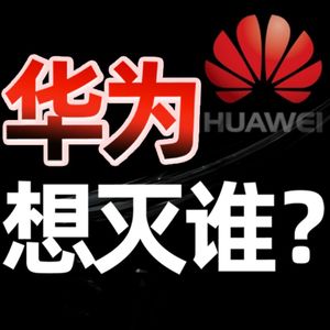华为为何组建军团？原来是学谷歌！任正非、余承东来站台，绕过美国制裁？【小丹尼】