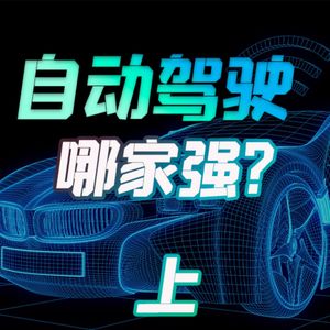 自动驾驶大佬聊聊：谷歌、特斯拉、滴滴自动驾驶哪家强？上集【小丹尼】