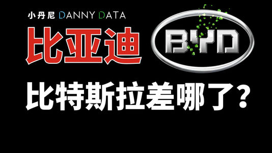 比亚迪比特斯拉差哪了？【DannyData第8集】