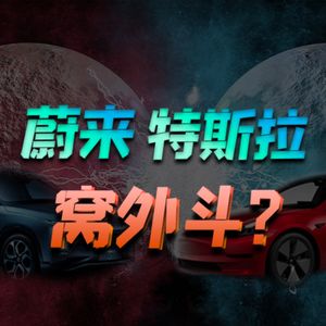 蔚来小鹏特斯拉的下一战场，不是中国美国？新势力都是出海，有啥不同？【小丹尼】
