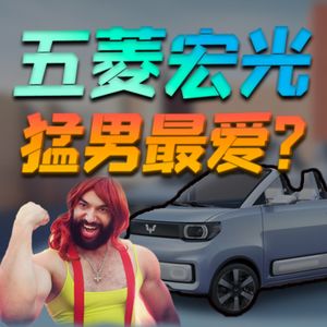 凭啥五菱宏光爆火？比特斯拉卖的好？原来宏光MINIEV卖的多、挣的少！【小丹尼】