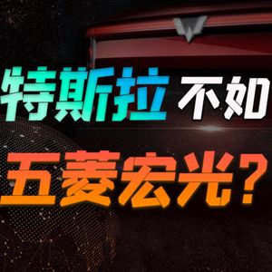 中国车，才是国人首选？特斯拉比五菱宏光差哪了？蔚来理想小鹏表示不服！【小丹尼】