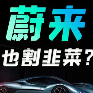 蔚来中国市值第一，是不是割韭菜？【小丹尼】