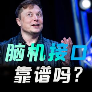 马斯克的脑机接口，是大突破还是大忽悠？上集【小丹尼】