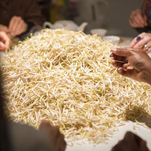 一起砸鸡蛋、摘豆芽，这些女性艺术家邀请你共同创作！