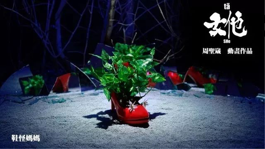 专访书本x周圣崴：若你喜欢怪人，其实我很美