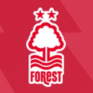 英超无双239 船王老板真任性,疯狂引援掷千金~英超20队赛季盘点精选版(四):森林