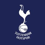 英超无双359 连续两年倒数第四，顶级豪门颜面尽失~英超赛季盘点精选版（四）：热刺