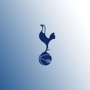 英超无双298 联赛17名莫伤悲，时隔17年捧奖杯~英超赛季盘点精选版（四）：热刺