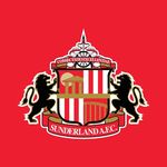 英超无双369 本赛季最大的黑马，原来是一只黑猫~英超赛季盘点精选版（十四）：桑德兰