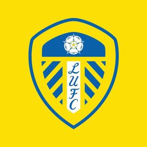 英超无双362 半场变阵有奇效，一路开挂留英超~英超赛季盘点精选版（七）：利兹联