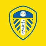英超无双362 半场变阵有奇效，一路开挂留英超~英超赛季盘点精选版（七）：利兹联