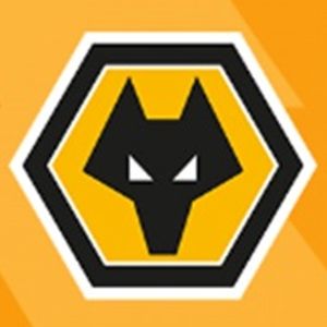英超无双242 开赛前临阵换帅，赛季后挑战裁判~英超赛季盘点精选版（七）：狼队