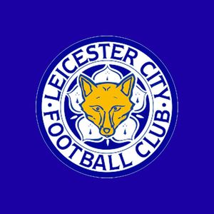 英超无双297 瓦尔迪一代传奇，莱斯特无奈降级~英超赛季盘点精选版（三）：莱斯特城