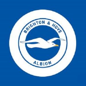 英超无双094 千禧年还在第四级别，是海鸥更是凤凰~英超赛季总结（十二）：布莱顿