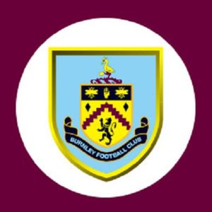 英超无双085 摇晃的红酒军团，一着不慎回英冠~英超赛季总结（三）：伯恩利