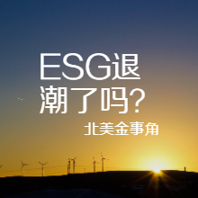 300.ESG真退潮还是脱虚向实？从道德滤镜回到现金流与公司治理