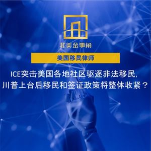 224.ICE突击美国各地社区驱逐非法移民，川普上台后移民和签证政策将整体收紧？