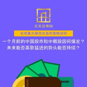 208.一个月前的中国股市和中概股因何爆发?未来能否高歌猛进的势头能否持续?