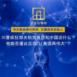 233.川普疯狂加关税究竟想做什么？他能否借此让美国经济排毒？