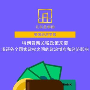 229.特朗普新关税政策来袭——浅谈各个国家政权之间的政治博弈和经济影响
