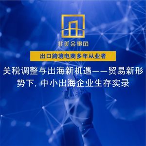 231.关税调整与出海新机遇——贸易新形势下,中小出海企业生存实录