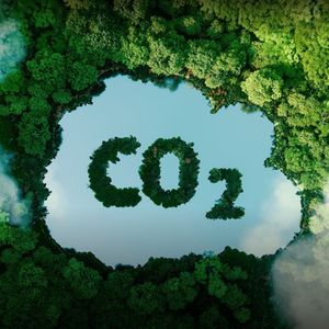 115.极端天气频发，环保迫在眉睫！聊聊企业的碳中和之路