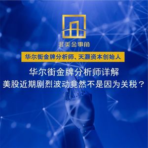 232.华尔街金牌分析师详解——美股近期剧烈波动竟然不是因为关税？